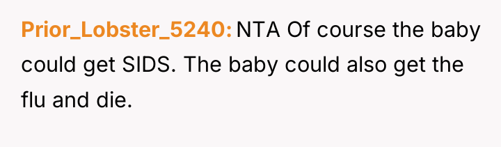 Prior_Lobster_5240 NTA Of course the baby could get SIDS. The...