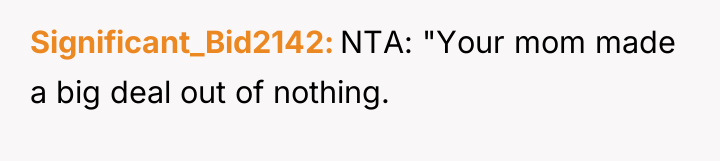 Significant_Bid2142 NTA: "Your mom made a big deal out of...