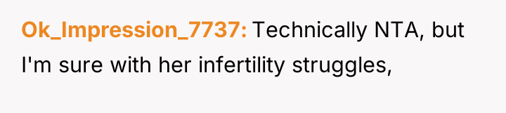 Ok_Impression_7737 Technically NTA, but I'm sure with her infertility struggles,
