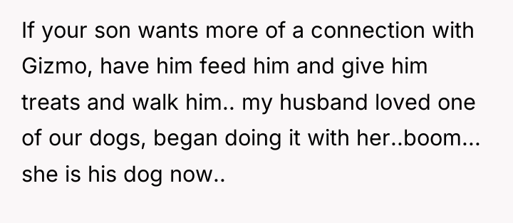 If your son wants more of a connection with Gizmo,...