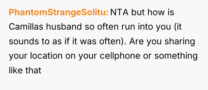 PhantomStrangeSolitu NTA but how is Camillas husband so often run...