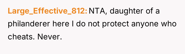 Large_Effective_812 NTA, daughter of a philanderer here I do not...