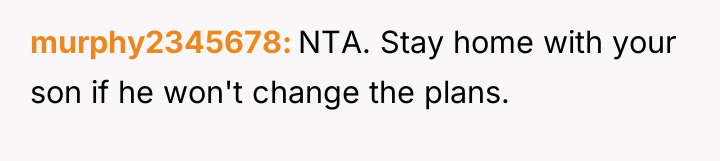murphy2345678 NTA. Stay home with your son if he won't...