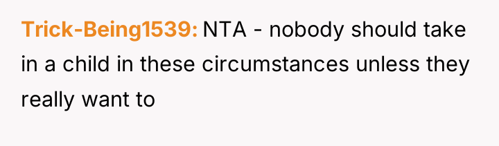 Trick-Being1539 NTA - nobody should take in a child in...