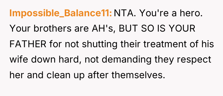 Impossible_Balance11 NTA. You're a hero. Your brothers are AH's, BUT...