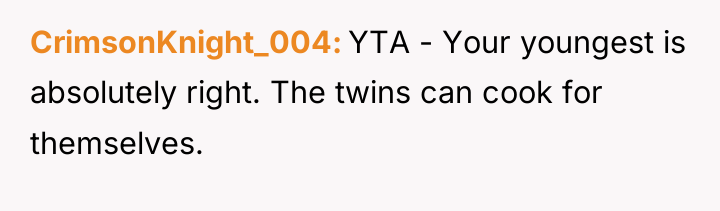 CrimsonKnight_004 YTA - Your youngest is absolutely right. The twins...