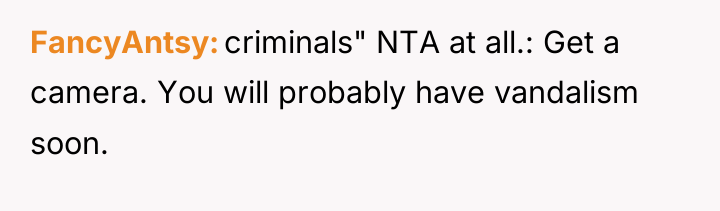 FancyAntsy criminals" NTA at all.: Get a camera. You will...