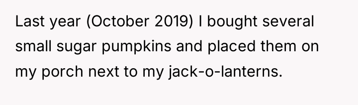 Last year (October 2019) I bought several small sugar pumpkins...