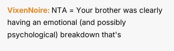 VixenNoire NTA = Your brother was clearly having an emotional...