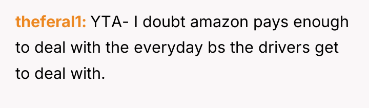 theferal1 YTA- I doubt amazon pays enough to deal with...