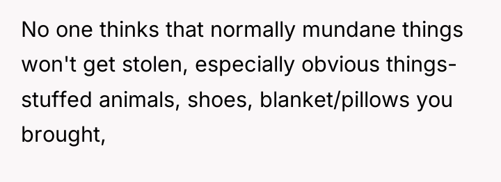 No one thinks that normally mundane things won't get stolen,...
