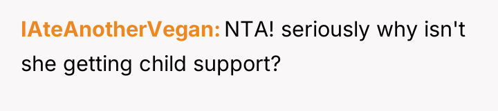 IAteAnotherVegan NTA! seriously why isn't she getting child support?