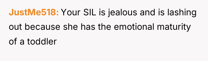 JustMe518 Your SIL is jealous and is lashing out because...