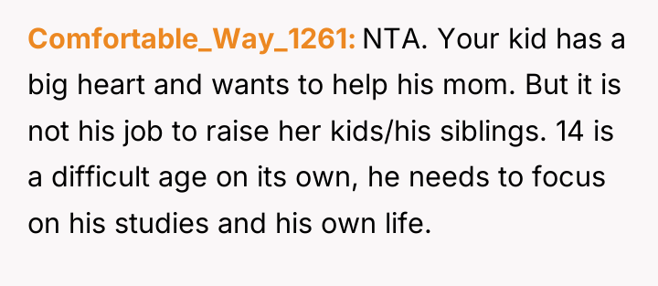 Comfortable_Way_1261 NTA. Your kid has a big heart and wants...