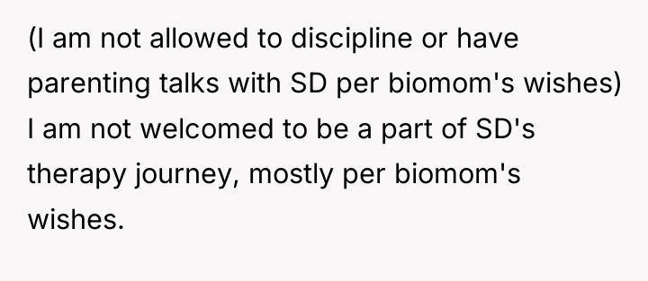 (I am not allowed to discipline or have parenting talks...