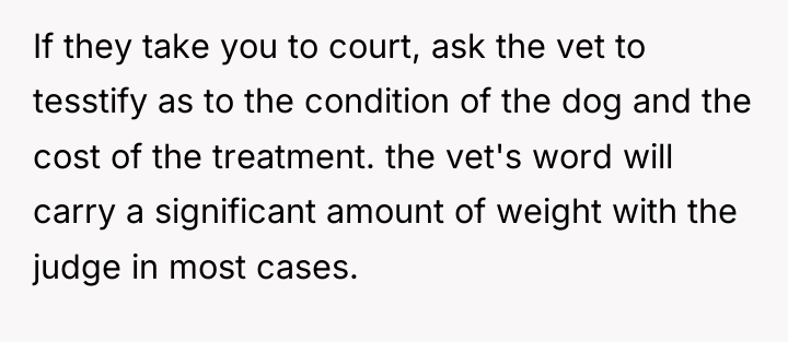 If they take you to court, ask the vet to...