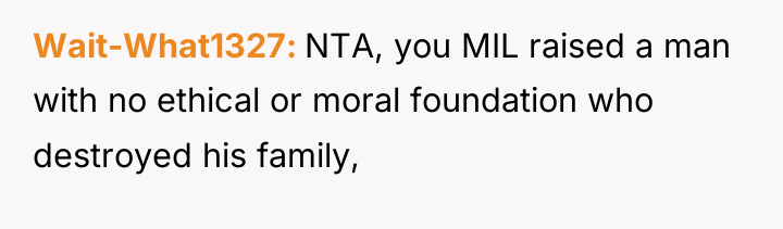 Wait-What1327 NTA, you MIL raised a man with no ethical...