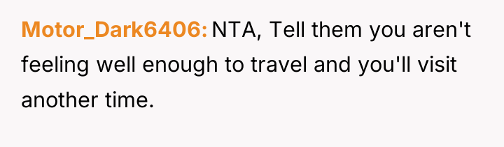 Motor_Dark6406 NTA, Tell them you aren't feeling well enough to...