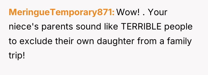 MeringueTemporary871 Wow! . Your niece's parents sound like TERRIBLE people...
