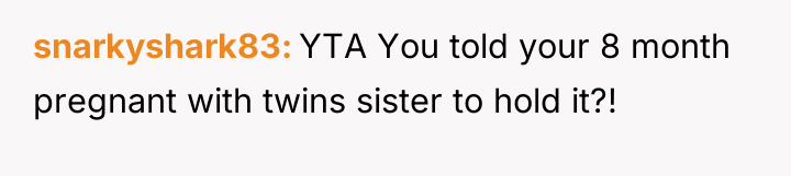snarkyshark83 YTA You told your 8 month pregnant with twins...