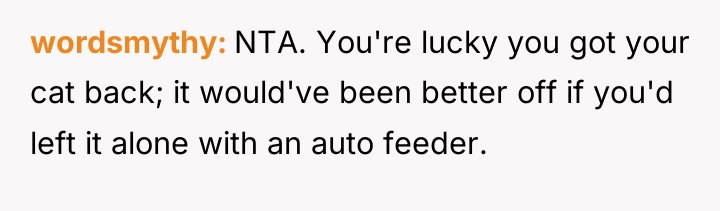 wordsmythy NTA. You're lucky you got your cat back; it...