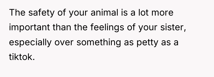The safety of your animal is a lot more important...