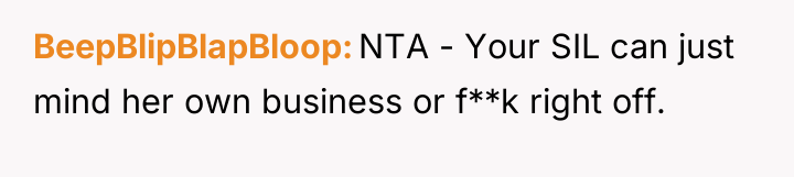 BeepBlipBlapBloop NTA - Your SIL can just mind her own...