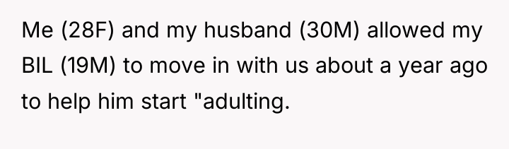 Me (28F) and my husband (30M) allowed my BIL (19M)...