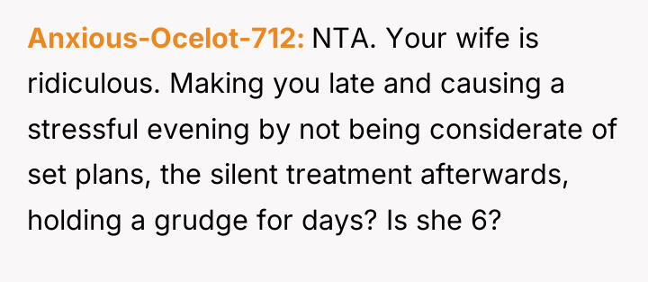 Anxious-Ocelot-712 NTA. Your wife is ridiculous. Making you late and...