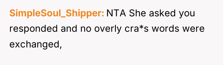 SimpleSoul_Shipper NTA She asked you responded and no overly cra*s...