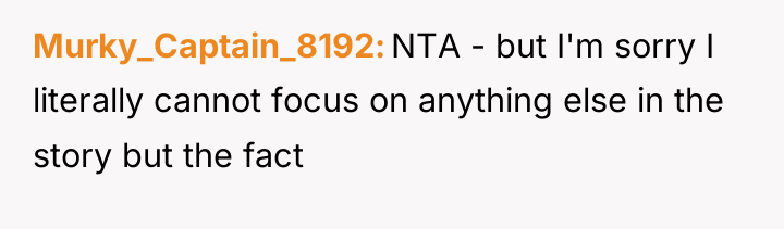 Murky_Captain_8192 NTA - but I'm sorry I literally cannot focus...