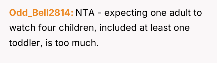 Odd_Bell2814 NTA - expecting one adult to watch four children,...