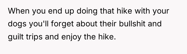 When you end up doing that hike with your dogs...