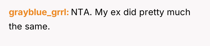 grayblue_grrl NTA. My ex did pretty much the same.