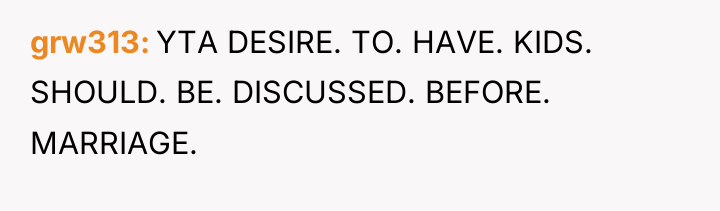 grw313 YTA DESIRE. TO. HAVE. KIDS. SHOULD. BE. DISCUSSED. BEFORE....