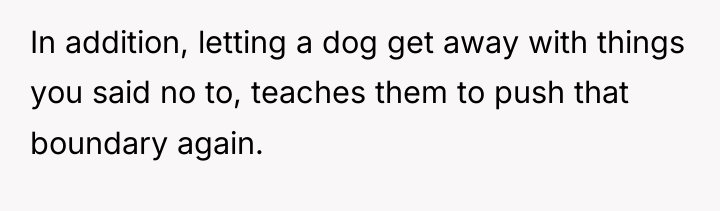 In addition, letting a dog get away with things you...
