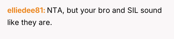 elliedee81 NTA, but your bro and SIL sound like they...