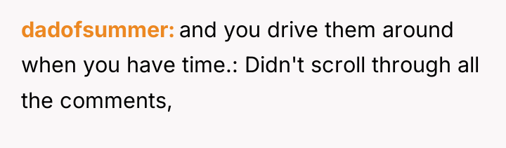 dadofsummer and you drive them around when you have time.:...