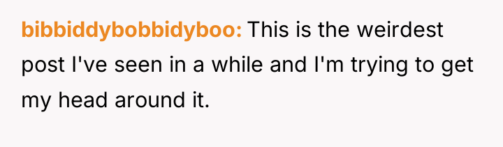 bibbiddybobbidyboo This is the weirdest post I've seen in a...