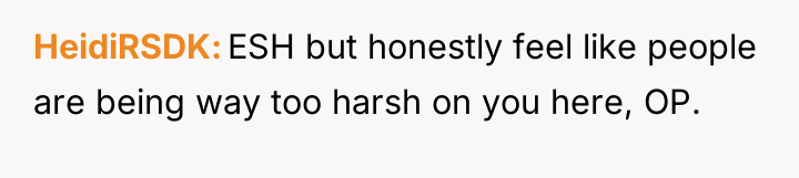 HeidiRSDK ESH but honestly feel like people are being way...
