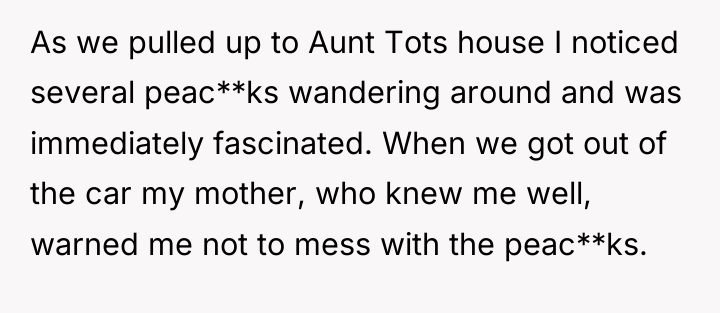 As we pulled up to Aunt Tots house I noticed...