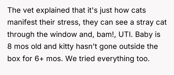 The vet explained that it's just how cats manifest their...