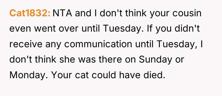Cat1832 NTA and I don't think your cousin even went...