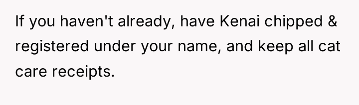 If you haven't already, have Kenai chipped & registered under...