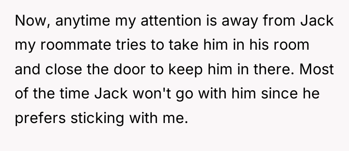 Now, anytime my attention is away from Jack my roommate...