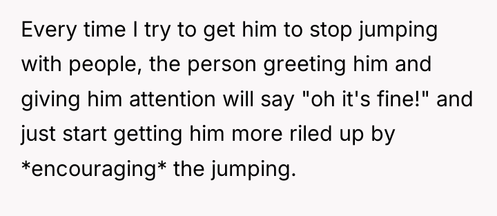 Every time I try to get him to stop jumping...