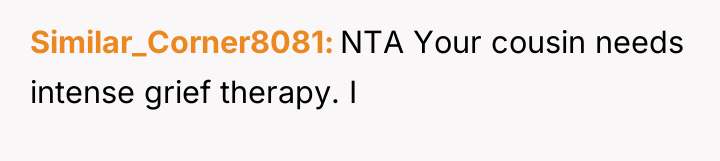 Similar_Corner8081 NTA Your cousin needs intense grief therapy. I