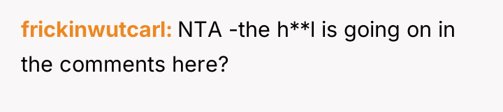 frickinwutcarl NTA -the h**l is going on in the comments...