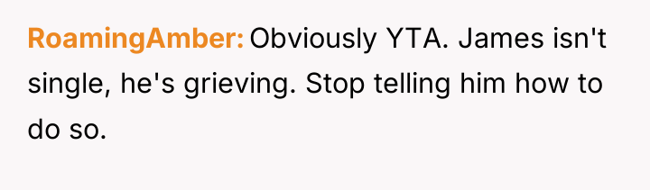 RoamingAmber Obviously YTA. James isn't single, he's grieving. Stop telling...