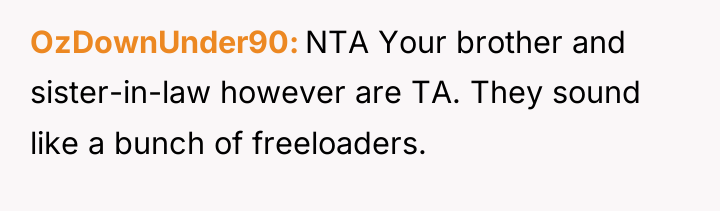 OzDownUnder90 NTA Your brother and sister-in-law however are TA. They...